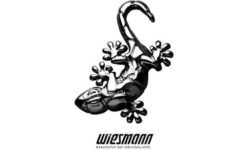 logo-wiesmann